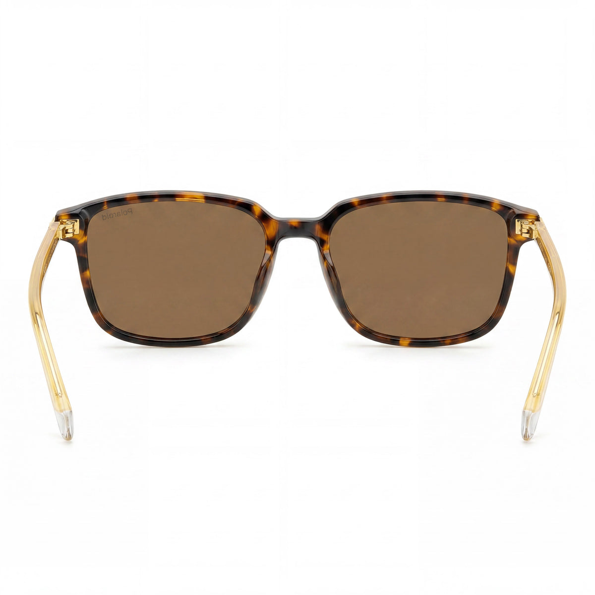 Polaroid PLD 4169 Havana Brown Square Sunglasses Unisex, 54mm, Photo 4