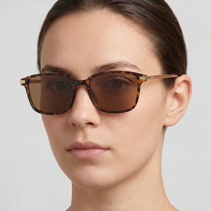 Polaroid PLD 4169 Havana Sunglasses Unisex — lifestyle wear, travel essential for sunny destinations