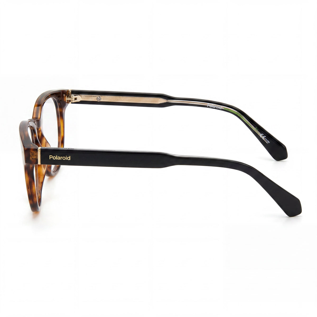 Gafas graduadas redondas para hombre Polaroid Pld D445 Havana, 50 mm, Photo 2
