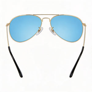 Privé Revaux Aviators Aviator Eyeglasses Unisex — front view, Stainless Steel