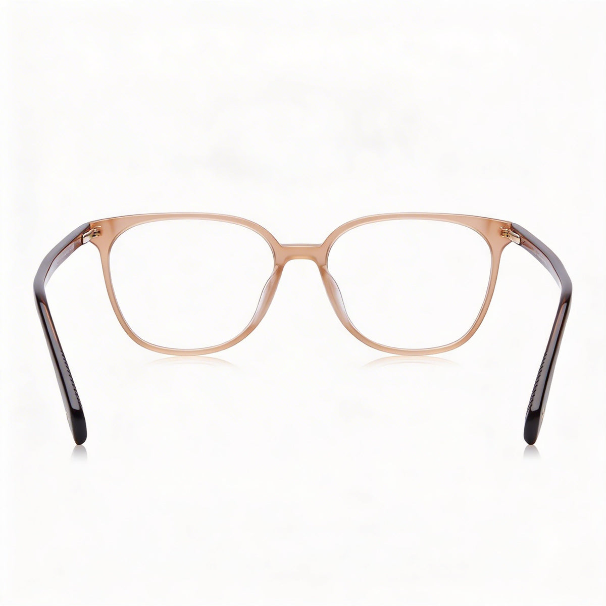 Rag & Bone Rnb3059 Brown Square Eyeglasses for Women, Acetate 52mm, Photo 3