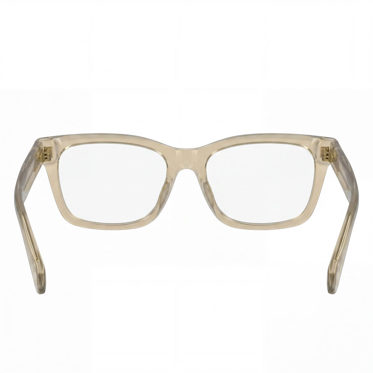 Gafas Salvatore Ferragamo SF2986 Beige Transparente Unisex, 53mm, Photo 3
